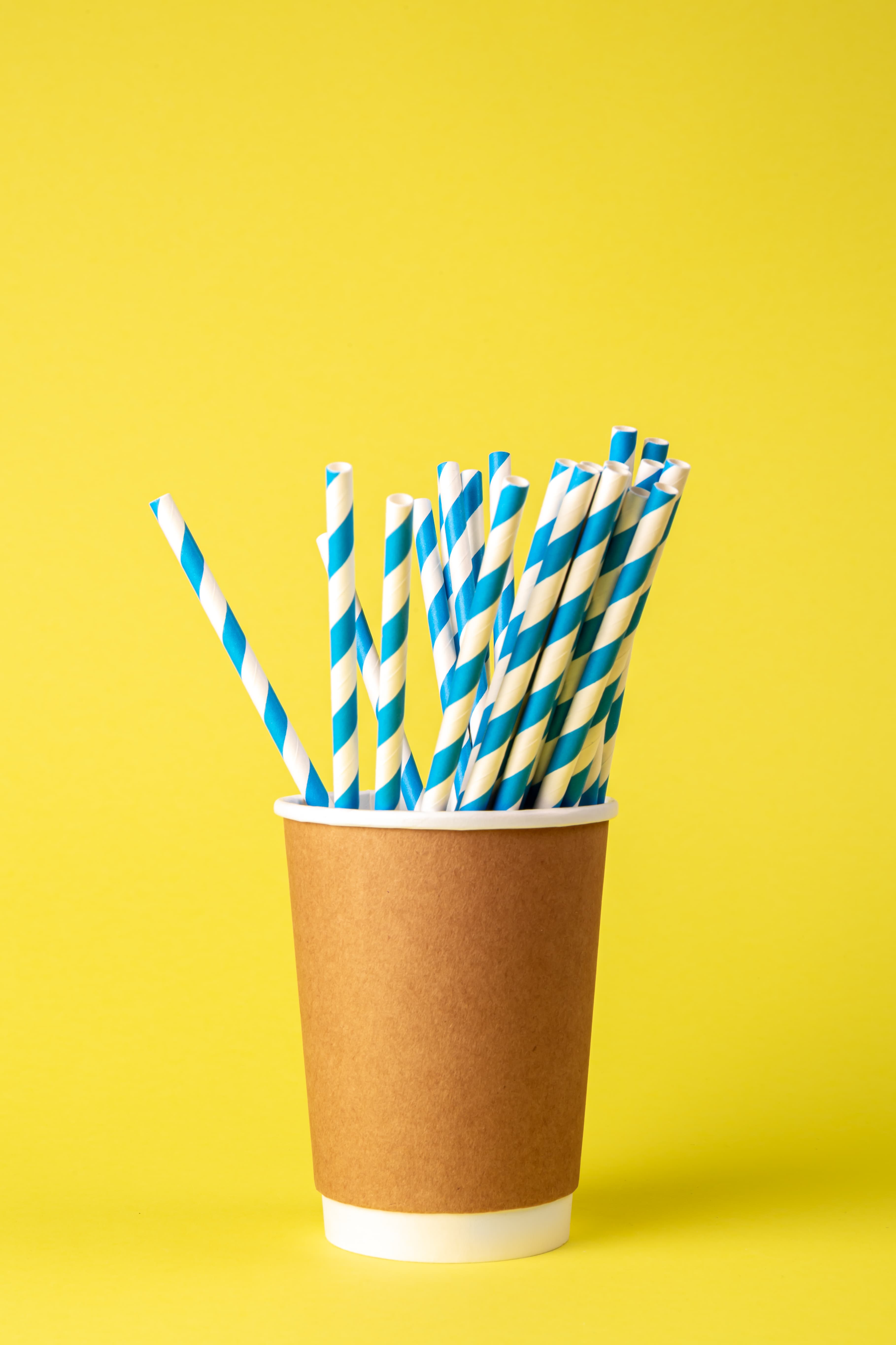 Paper Straws